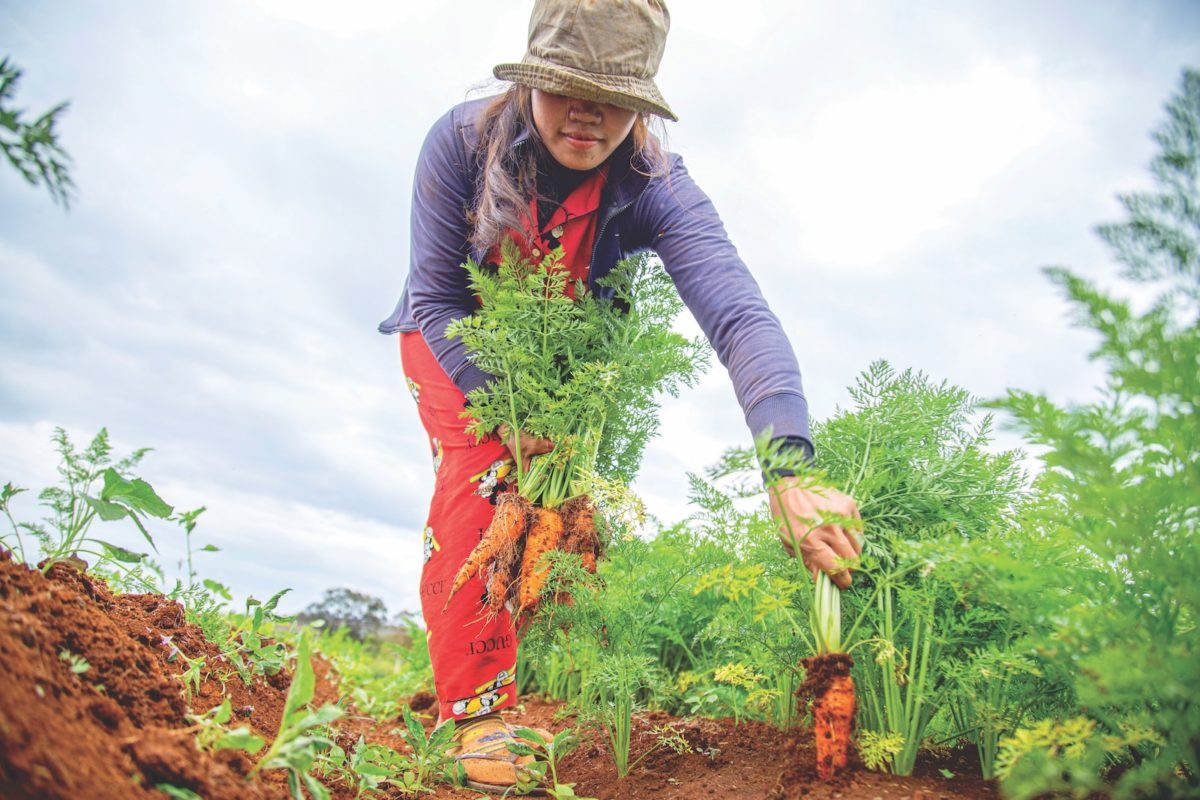 Tenue de jardinage pour femme