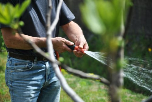 Choisir un pantalon de jardinage