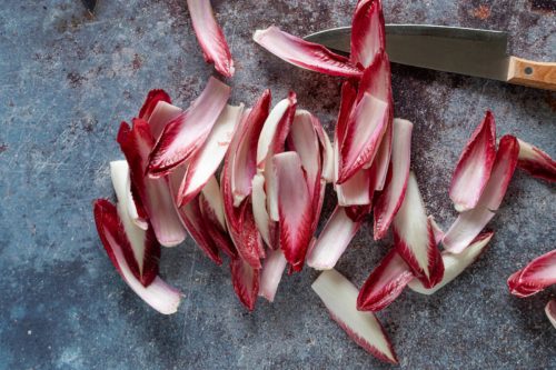 Culture de l'endive