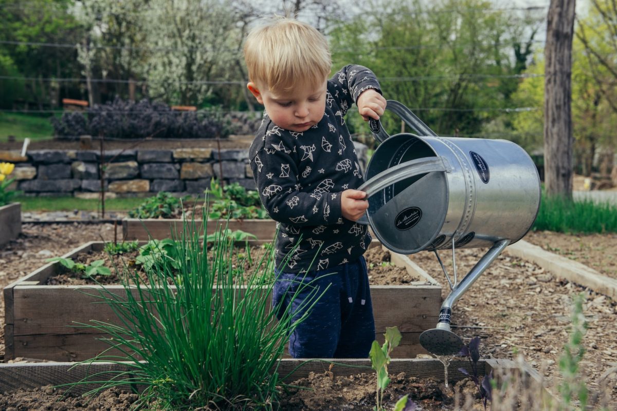 10 erreurs de jardinage