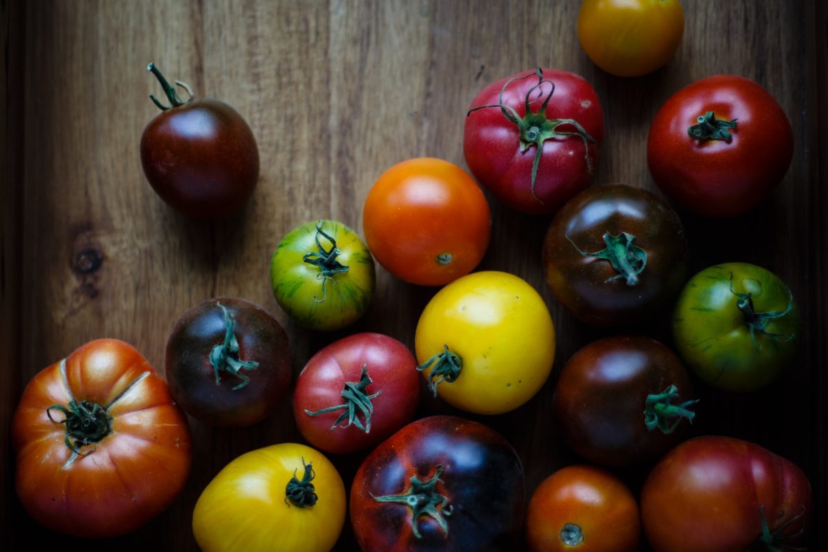 Variétés de tomates