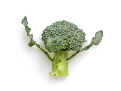 Bienfaits du brocoli