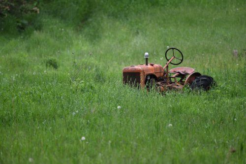 Le bon moment pour tondre son jardin