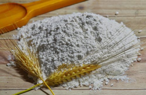 Mites alimentaire dans la farine