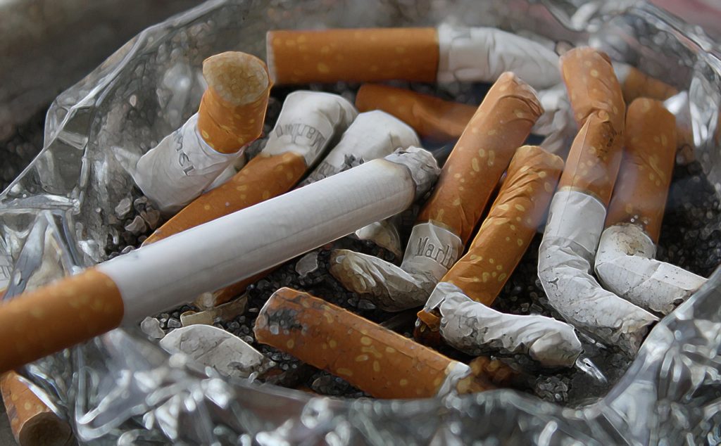 plantes anti-odeur de cigarettes