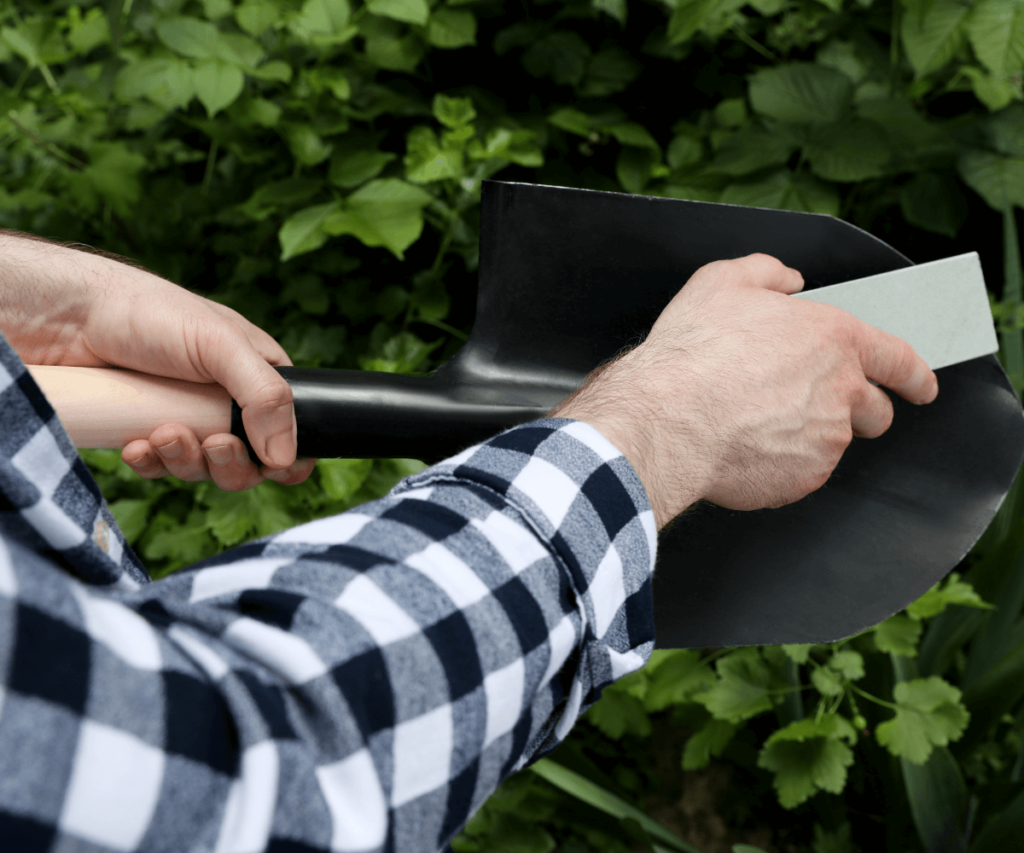 Affûtez les lames des outils de jardinage