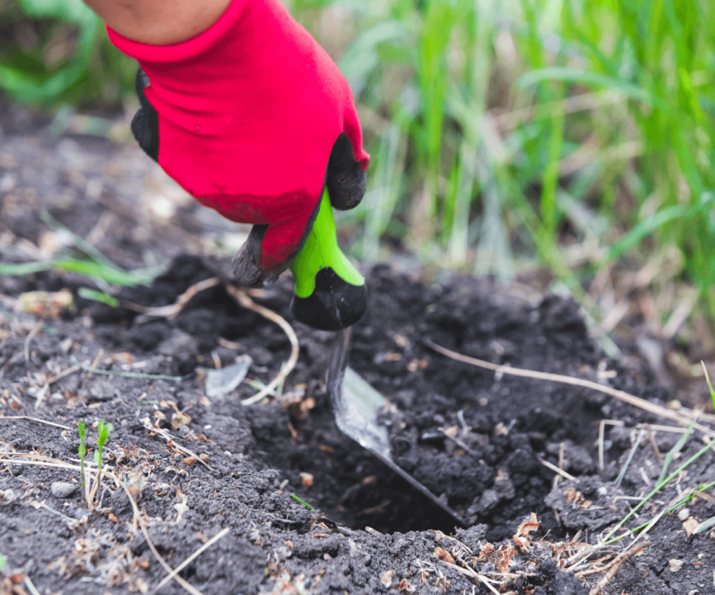 Évaluez la nature du sol pour réussir toutes les plantations à l’automne