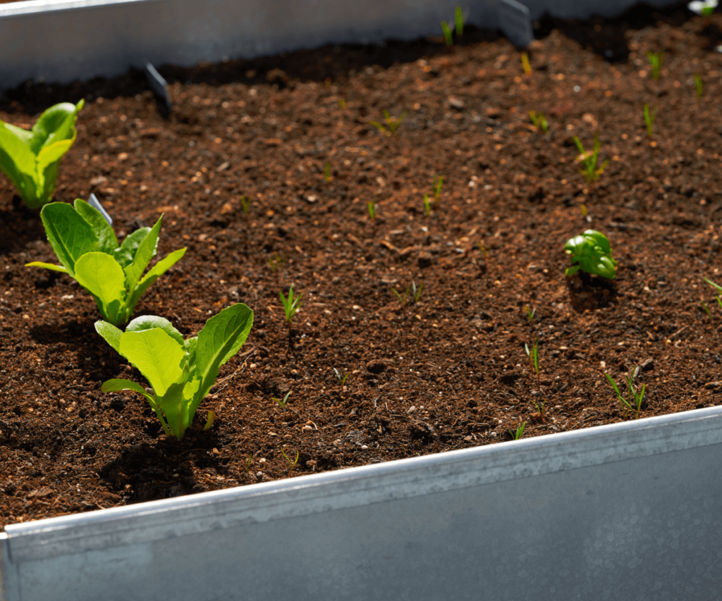 Pourquoi faire du compost avec les feuilles mortes d'automne ?