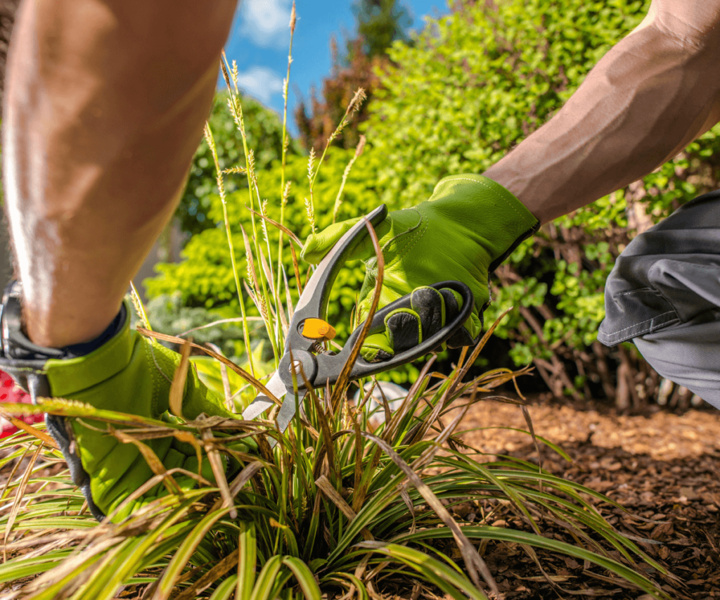 Protection de vos pots et jardinières contre le gel en saison froide