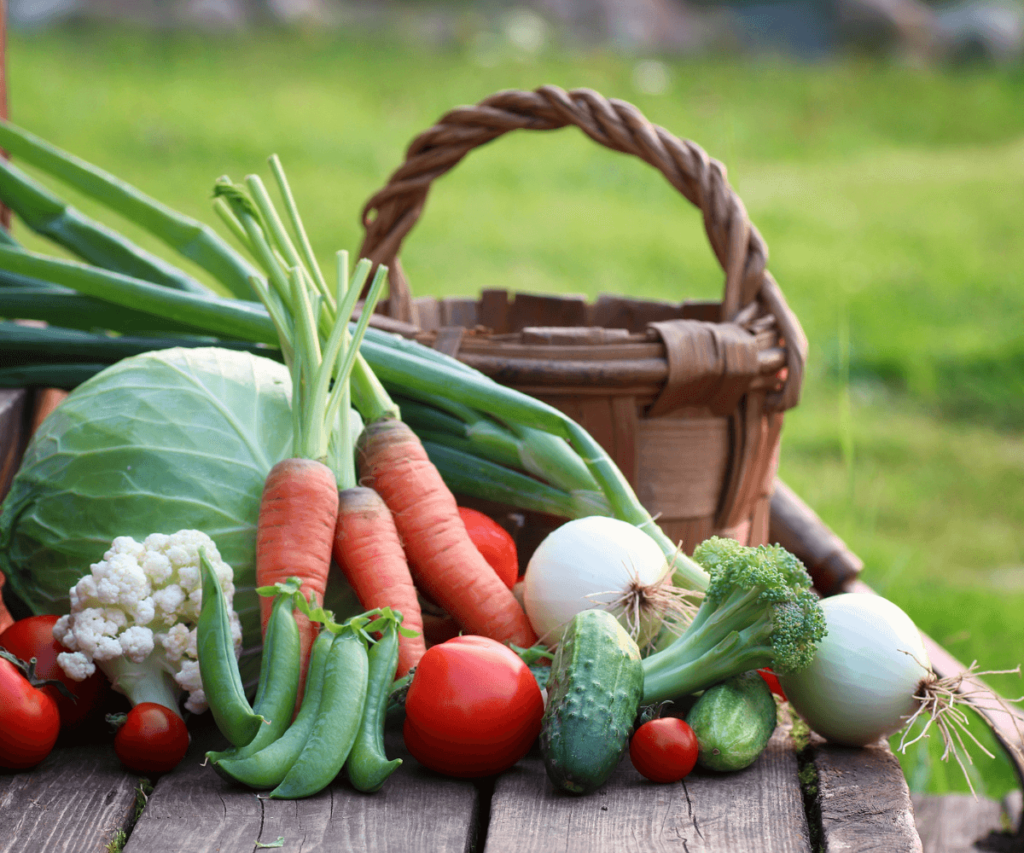 Récoltez les derniers légumes et herbes aromatiques en automne