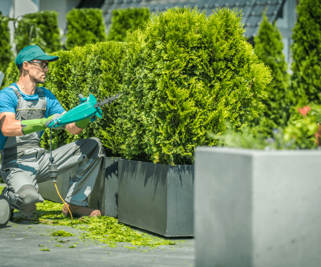 Intégrer les arbustes persistants dans le jardin