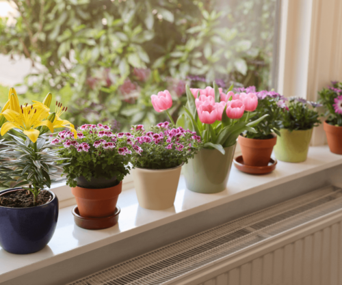 Cultivez des plantes aromatiques en intérieur pendant l'hiver pour ajouter de la saveur à vos plats.