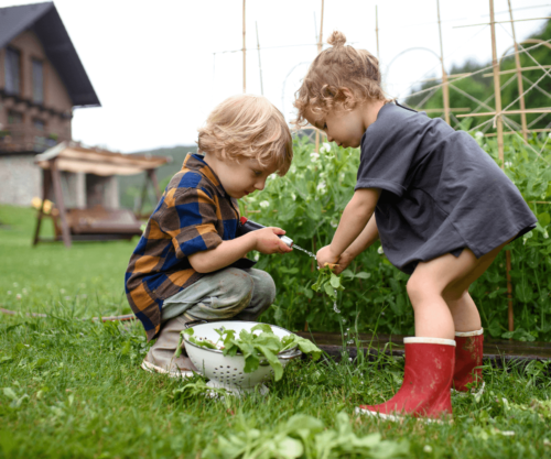 Aménagement d'un coin de jardin pour les enfants.