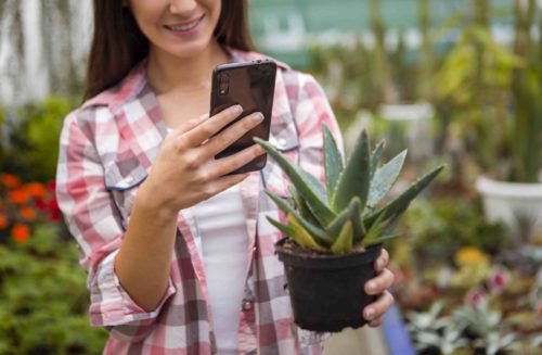 Les meilleures applications mobiles pour les passionnés de jardinage