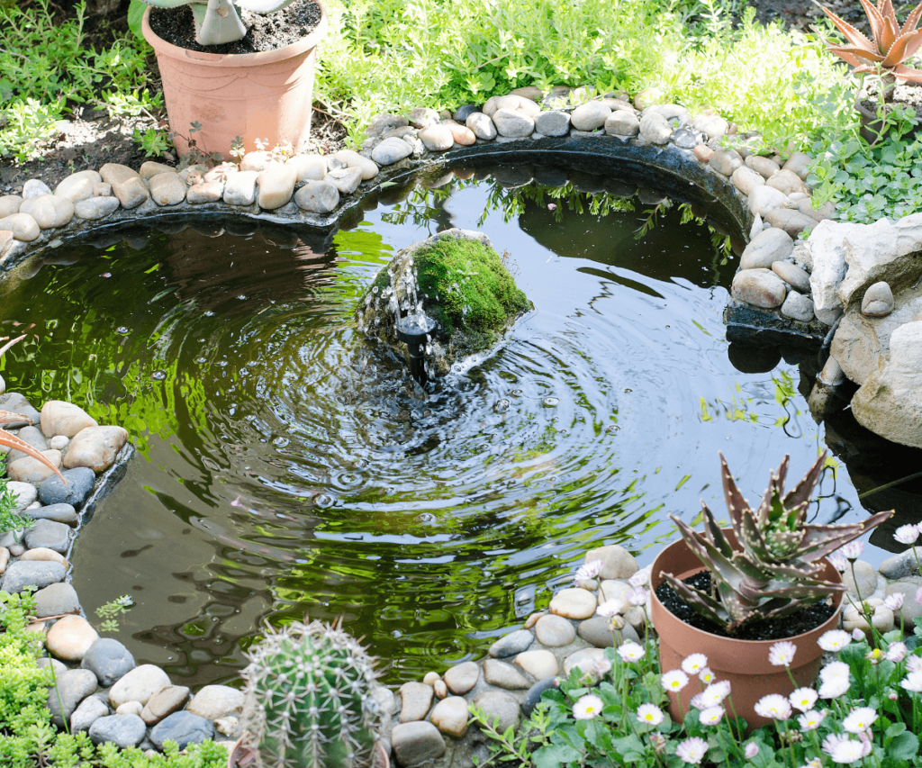 Ajoutez une touche apaisante à votre jardin avec des bassins miniatures : un coin d'eau harmonieux pour une atmosphère relaxante.