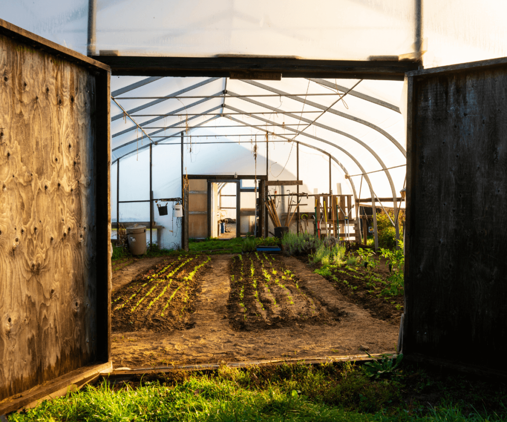 Avantages des serres de jardin