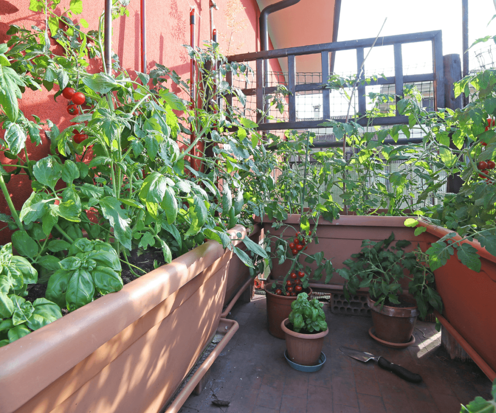 Choix des Contenants pour Potager sur Votre Balcon ou Votre Terrasse