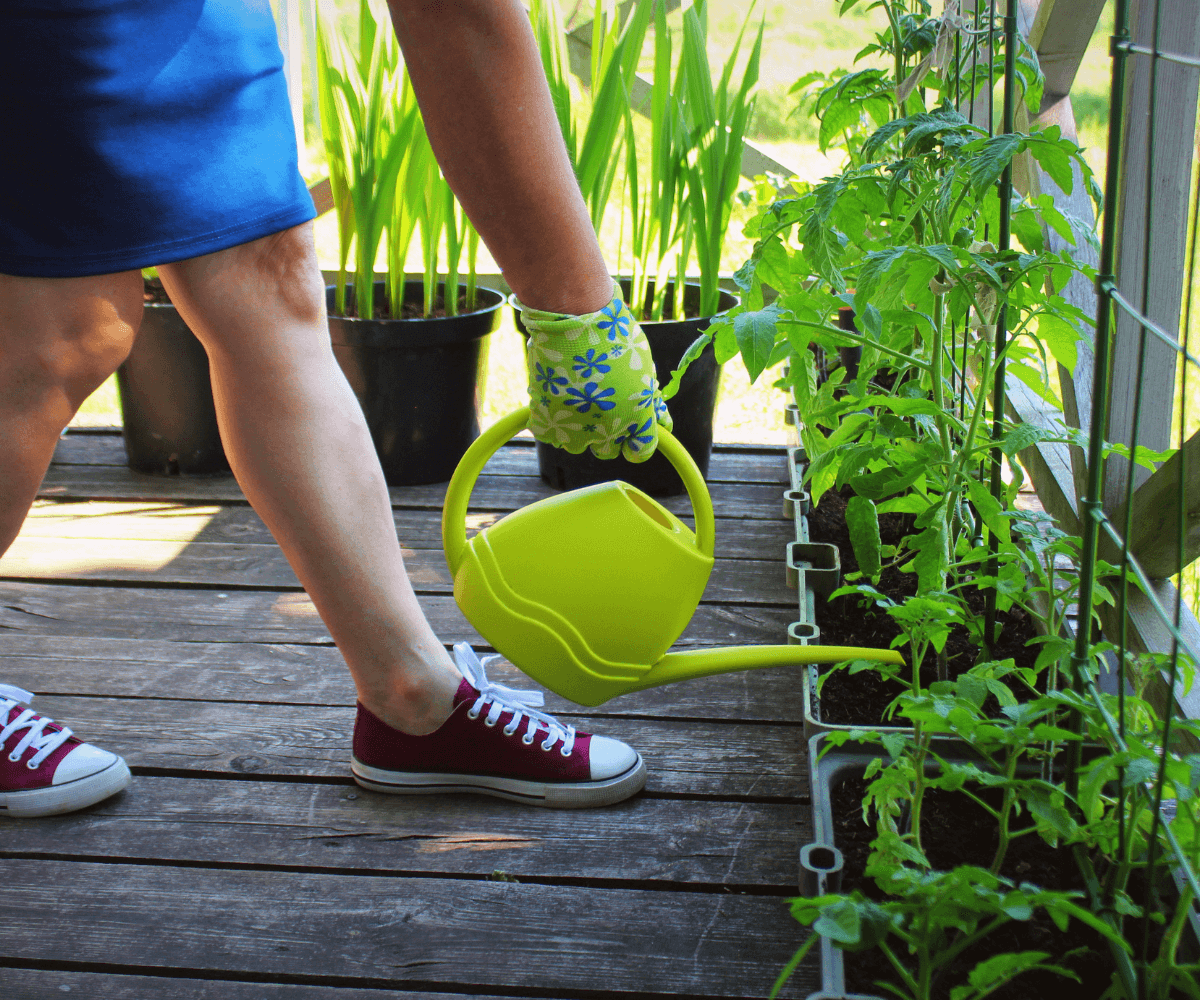 Comment Créer un Potager sur Votre Balcon ou Votre Terrasse