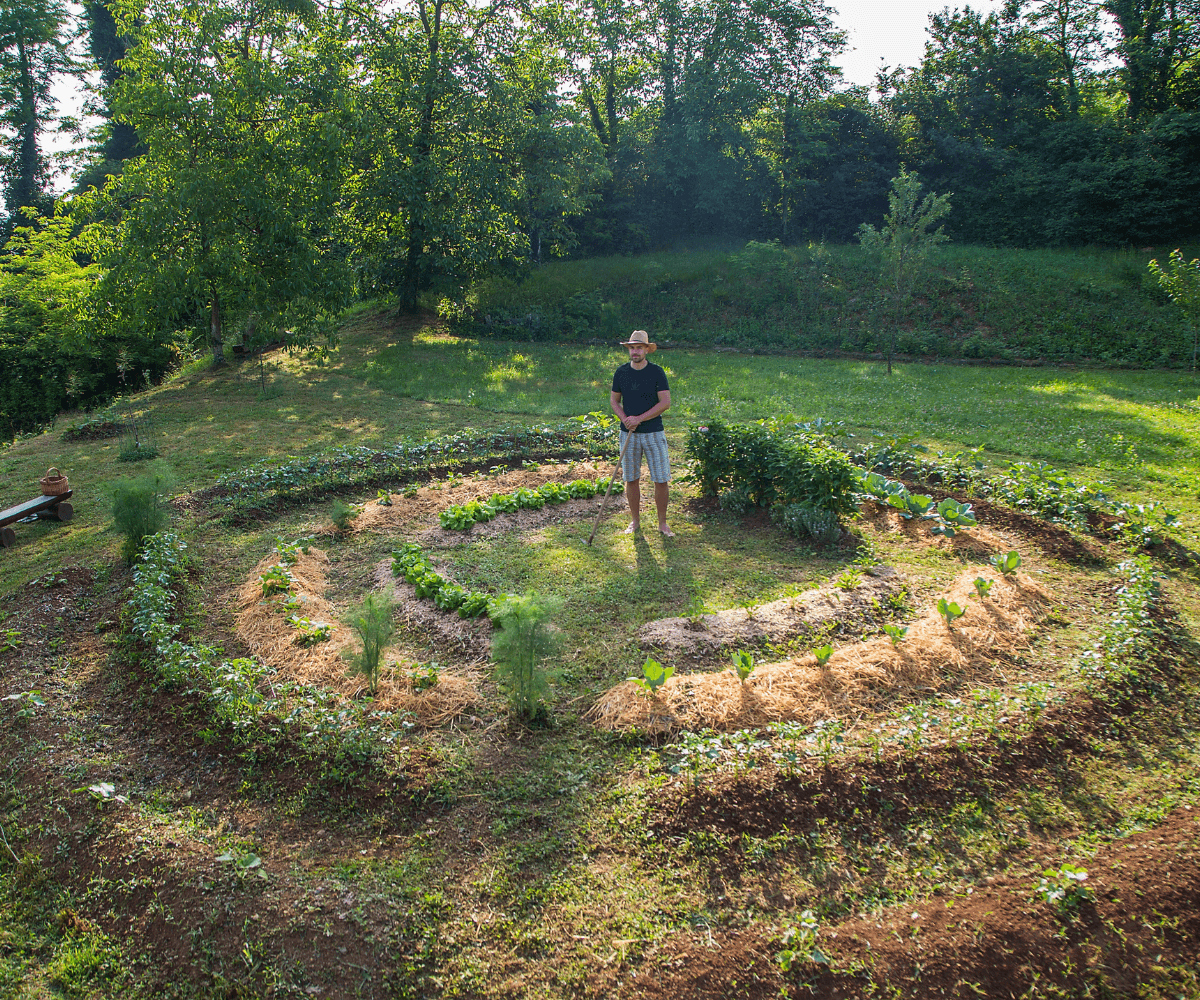 Jardin en permaculture avec des rangées de légumes, favorisant la biodiversité et la durabilité.