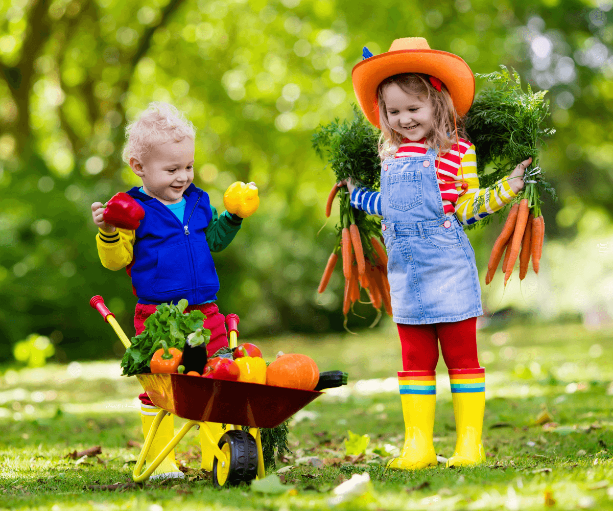 Jardinage bio : comment créer un jardin écologique et durable