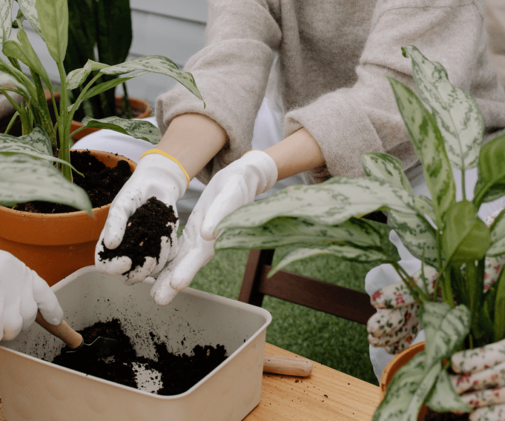 Jardinage en conteneurs