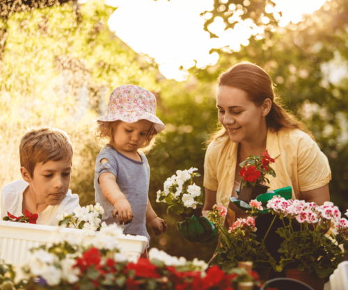 Jardinage avec les Enfants : Des Activités Éducatives et Amusantes !