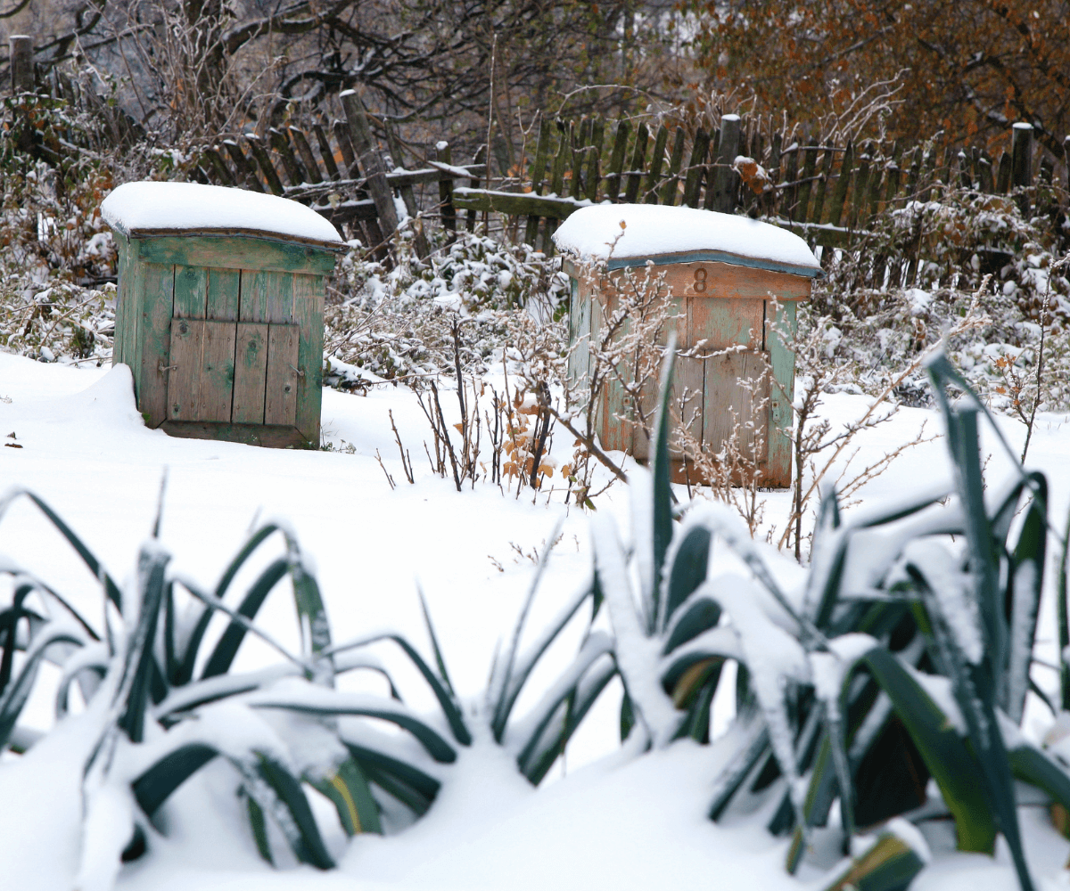 Jardinage adapté aux changements climatiques.