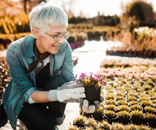 Astuces pour un jardinage sans douleur.