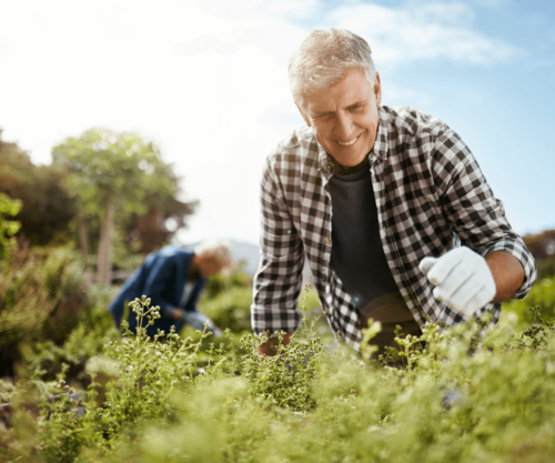 Jardinage Thérapeutique : Comment le Jardinage peut Améliorer votre Bien-Être