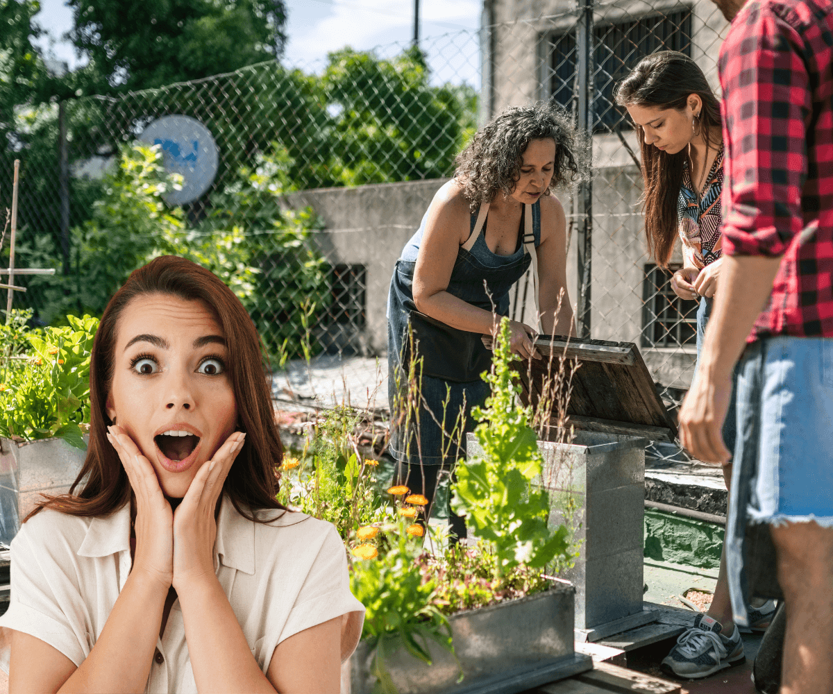 Jardinage Urbain : Les Tendances pour Créer un Oasis Vert en Ville