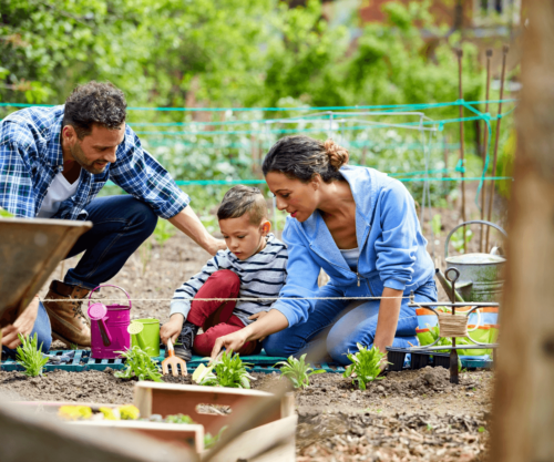 Optimisez votre espace de jardinage pour une efficacité maximale : agencement stratégique, rangement intelligent et facilité d'accès pour des moments de jardinage agréables.
