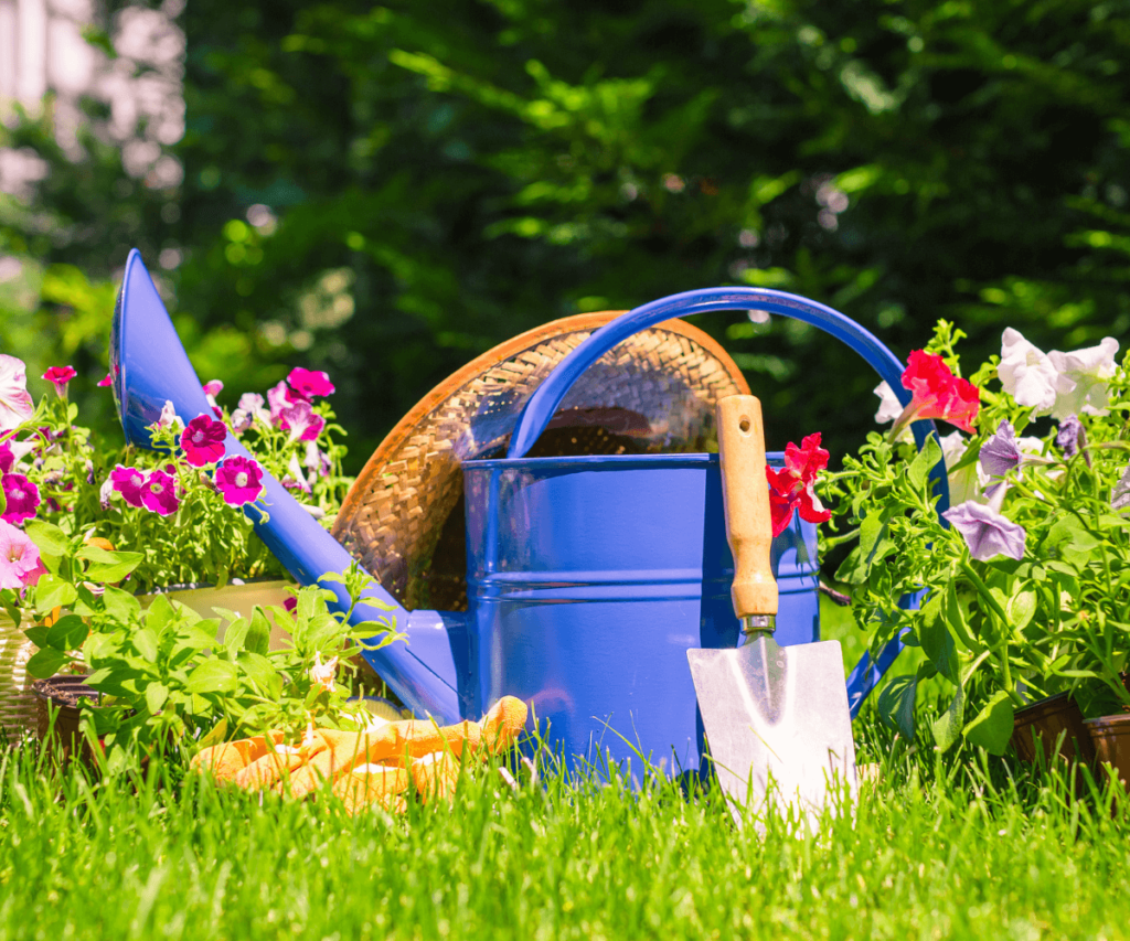 Jardinage efficace : choisissez les bons outils, assurez-vous de leur bon état et apprenez à les utiliser correctement pour maximiser la productivité de votre jardin.