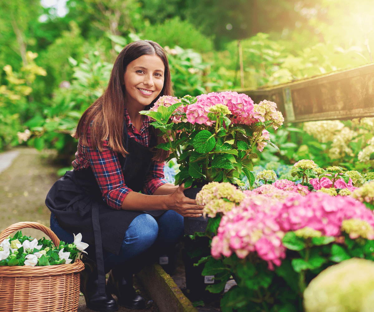 Planifiez votre jardin pour un éclat de couleur continu tout au long de l'année.