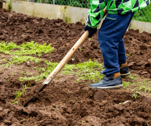 Préparez Votre Jardin pour l'Hiver : Guide Pratique