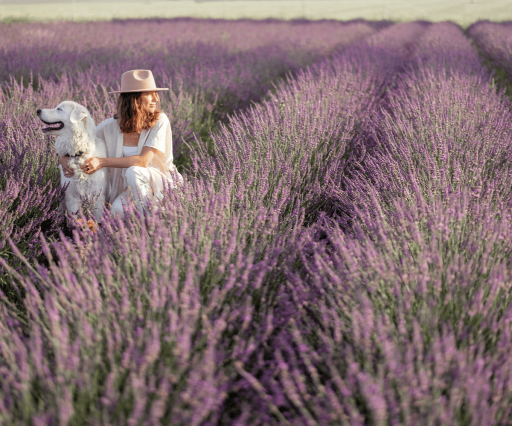 Plantes amicales pour les pattes