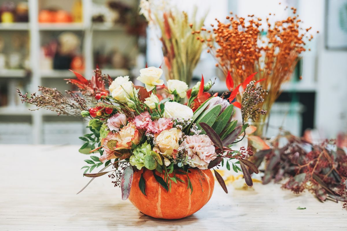 les couleurs de la saison dans les fleurs d'automne