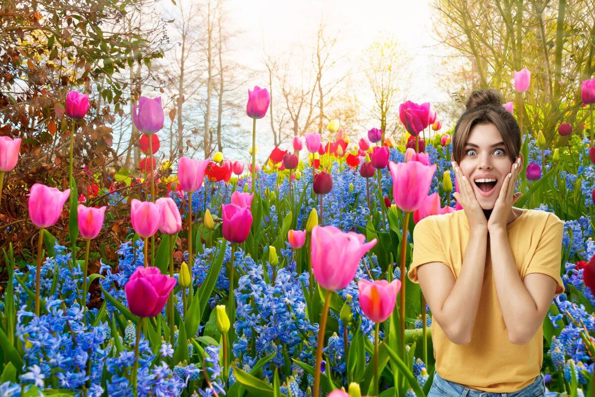 découvrez les incontournables parmi les fleurs du printemps