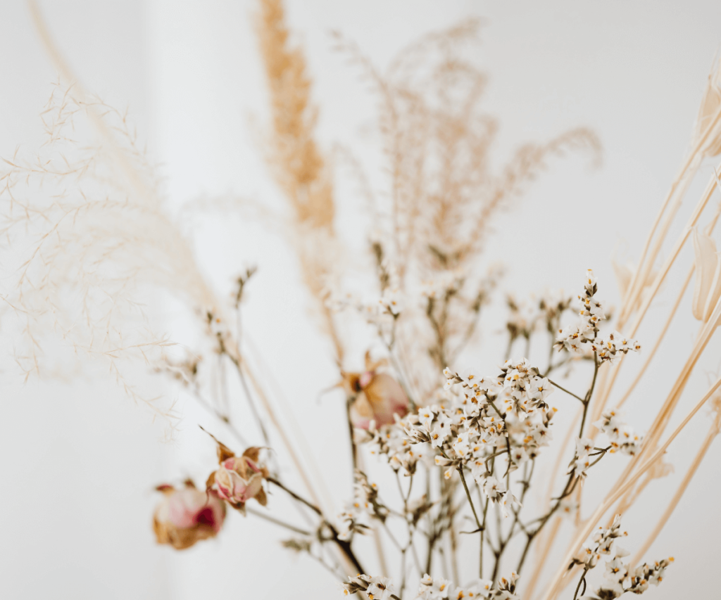 démarche écologique avec les fleurs séchées