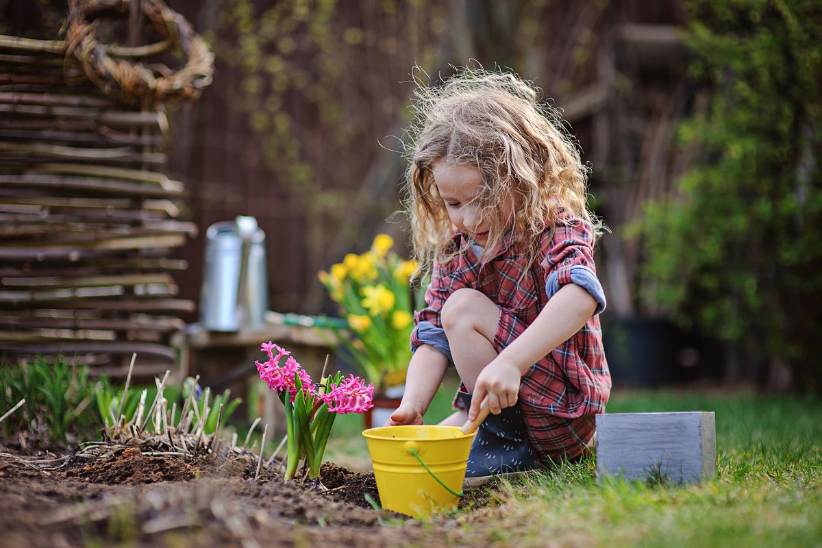 guide visuel sur la plantation des fleurs.