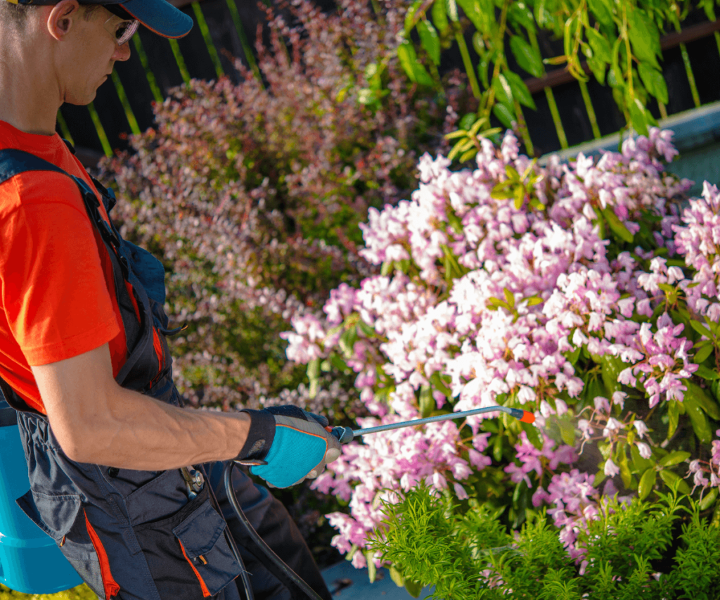 pulvérisation à base de neem pour protéger les fleurs